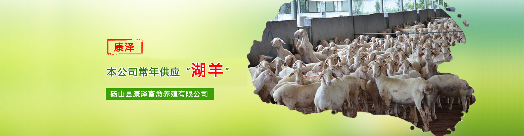 首页banner1