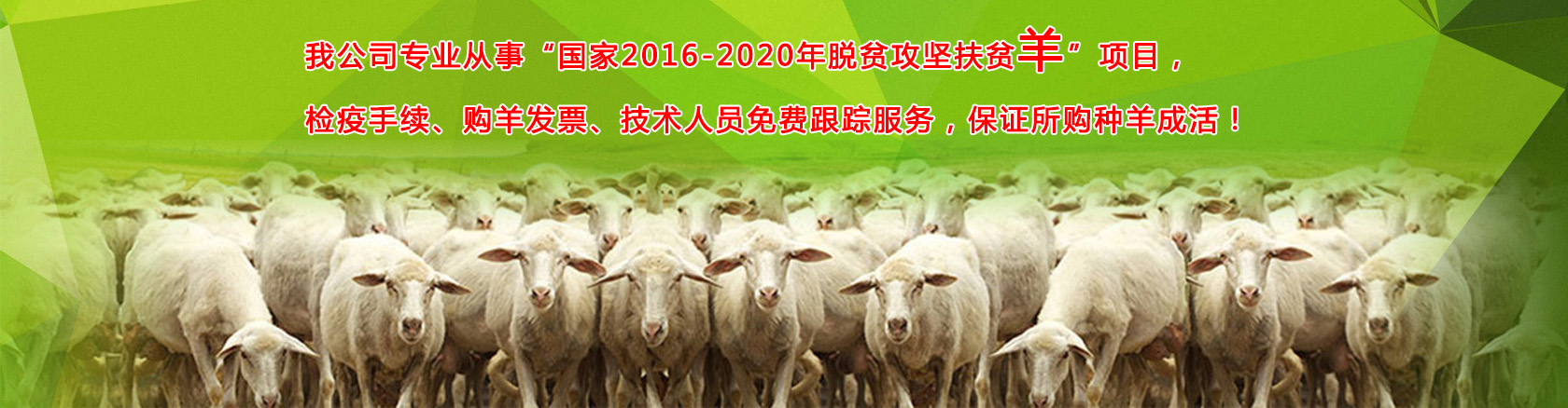 首页banner2