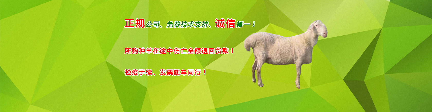 首页banner3