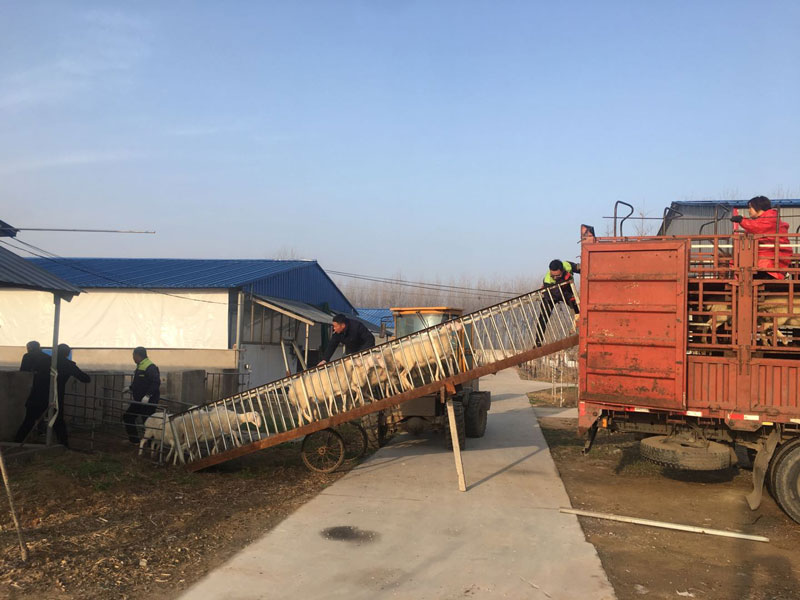 继续走车